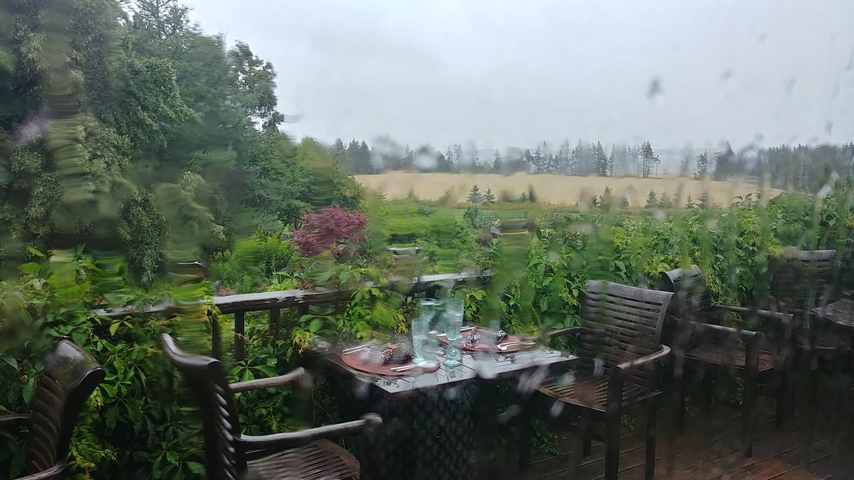 LeeLab_uOttawa's tweet image. Raining in PEI. Missed the garden tour in Dunes gallery. Have to come back.