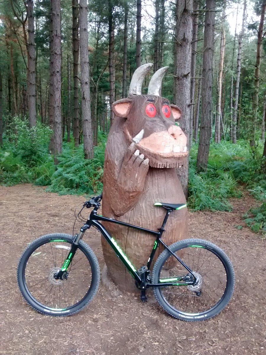 Oh no, my hire bike from <a href="/tracsdelamere/">Tracs UK - Delamere Forest Bike Hire</a>  <a href="/ExploreDelamere/">Forest Explorers & Usborne Edge Lane Books</a> Forest has been taken by the Gruffalo! <a href="/juliadonaldson/">Keshia Williams</a>