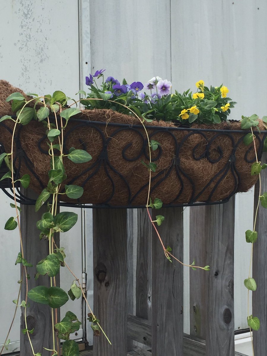 Things happen when you work on a team. Bringing Back the Roar 1st Feeder Pattern CommunityDay@Falling_CreekES #oneccps