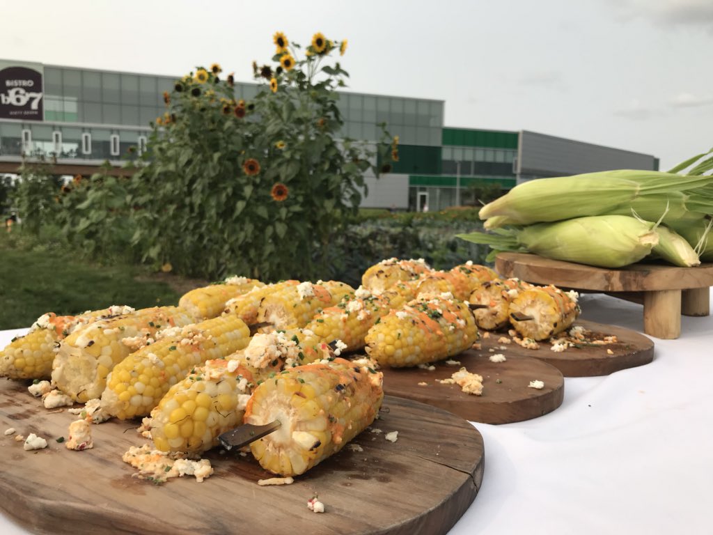 Tiala_DC's tweet photo. From our #dc_cff gardens: Corn on the cob #feastofthefields @Bistro_67 @durhamcollege https://t.co/CgYyk8kQ4H