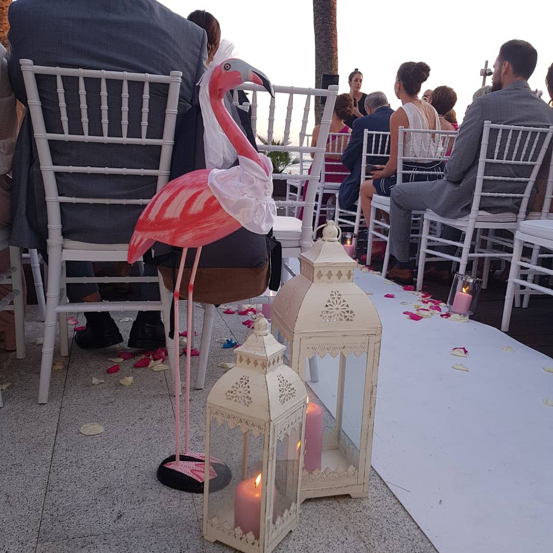 moralesdecor's tweet photo. Así ha quedado la boda de nuestros novios de hoy ELENA Y JOAQUÍN en el VINCI ESTRELLA DEL MAR BEACH CLUB en Marbella!!! https://t.co/CFds8ds3Gv