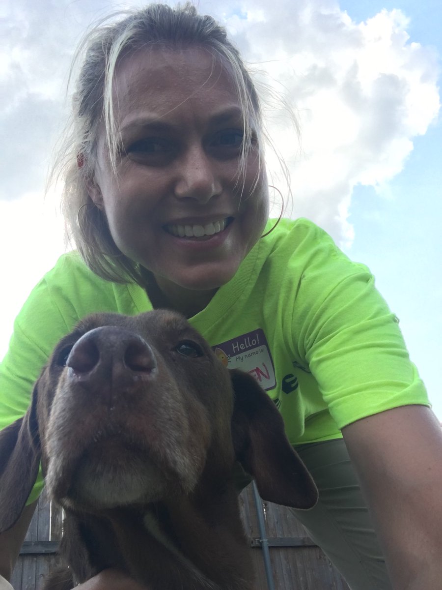 kzstanton's tweet photo. Riley is still looking for a home! 9 year old owner surrender. No young kids. ⁦@NBCDFW⁩ #ClearTheShelters https://t.co/FKTqlVe020