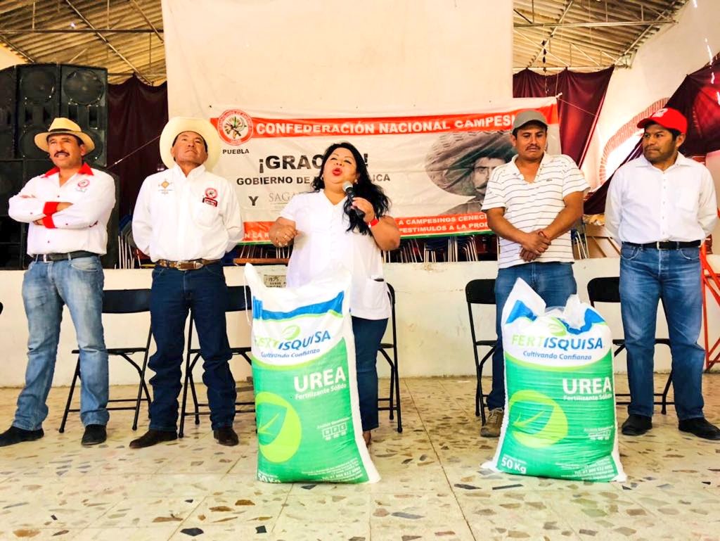 MaritzaMarinM's tweet photo. #Tepeyahualco participé esta tarde en la entrega #PIMAF que con el respaldo de nuestro líder @hernandezderas la @cncpuebla gestiono ante @SagarpaPue en beneficio de productores de la región #Libres. Agradecemos al Delegado Germán Bernat, por su disposición. @CNC_CEN https://t.co/QbCxAI8bKP