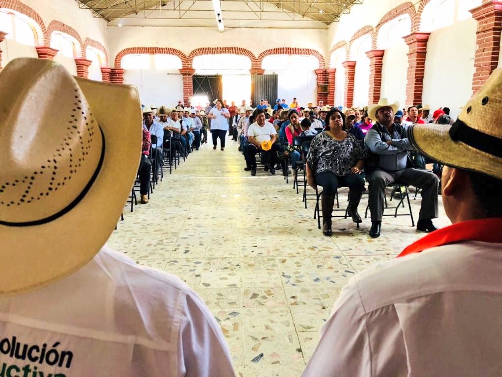 MaritzaMarinM's tweet photo. #Tepeyahualco participé esta tarde en la entrega #PIMAF que con el respaldo de nuestro líder @hernandezderas la @cncpuebla gestiono ante @SagarpaPue en beneficio de productores de la región #Libres. Agradecemos al Delegado Germán Bernat, por su disposición. @CNC_CEN https://t.co/QbCxAI8bKP