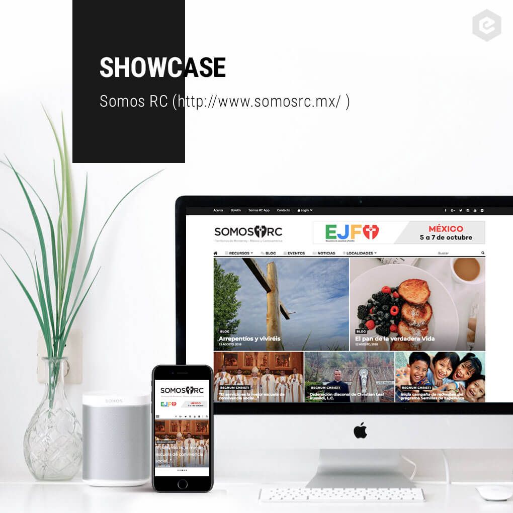 EasyBlogThemes's tweet photo. Another website created using EasyBlog Themes. We have an extensive list of clients and it includes the religious blog Somos RC. Check it out -->> https://t.co/SsDjORK5IU
#WordPressthemes #WordPressblogthemes #beligiousblog #publication #WordPress #WordPressmagazine https://t.co/x540Nuf6rn