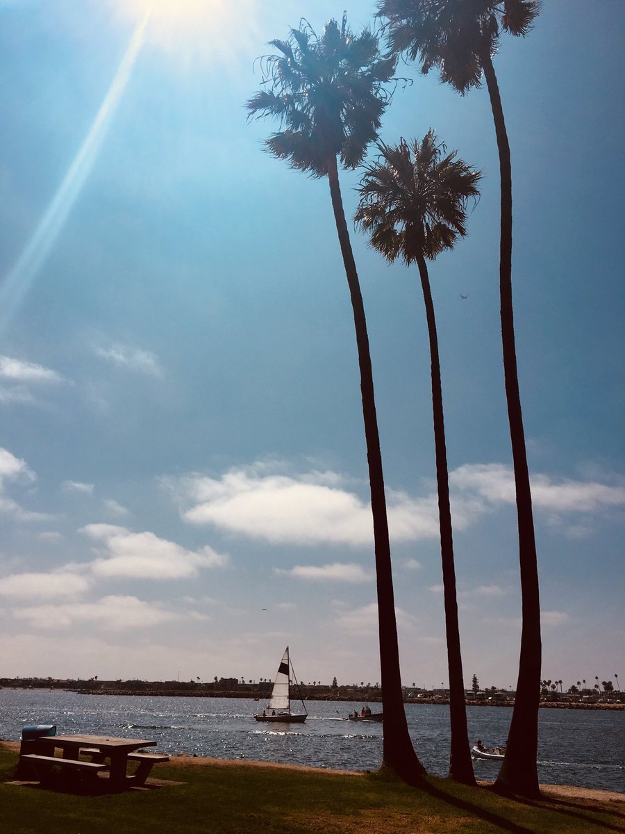 Victor Fonti tweet media