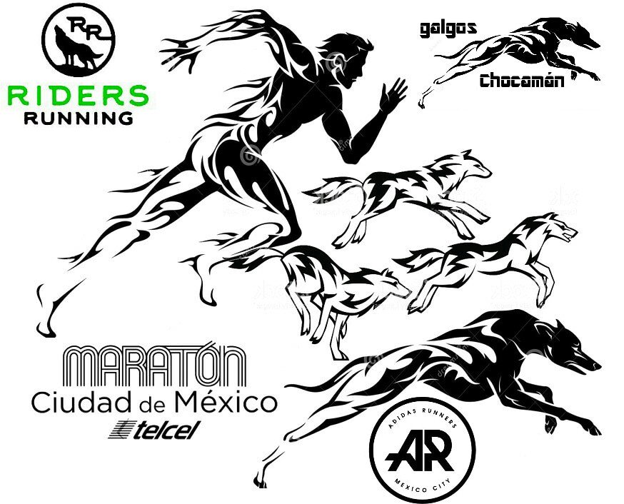 ridersrun's tweet photo. Un mismo objetivo, todos juntos en camino al Maratón de la ciudad de México...somos corredores!
#AdidasRunningTeam
#GalgosChocaman
#RidersRunning
#YoElegiCorrer https://t.co/3NpKxlEMjI