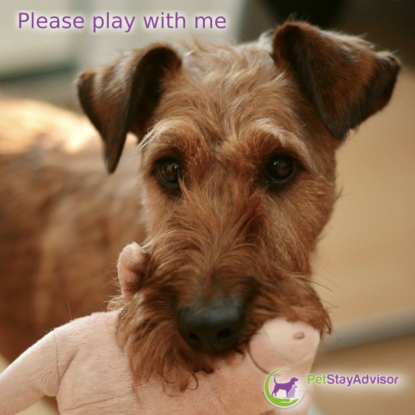 what will you be doing this #sunday?