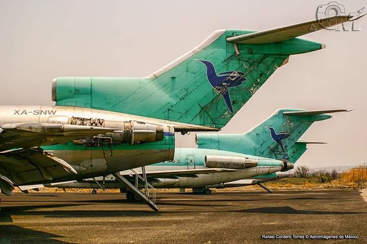 aeroimagenesmx's tweet photo. Rusting in peace
Oxidándose en paz
#mmcb #boeing727 #aerolíneasinternacionales #avgeek #aviationlovers
@SpottersArg @RosymarquezFly @AvionesenEzeiza @vickyulf @controladores @pilotmaria https://t.co/jEhTg5clBX