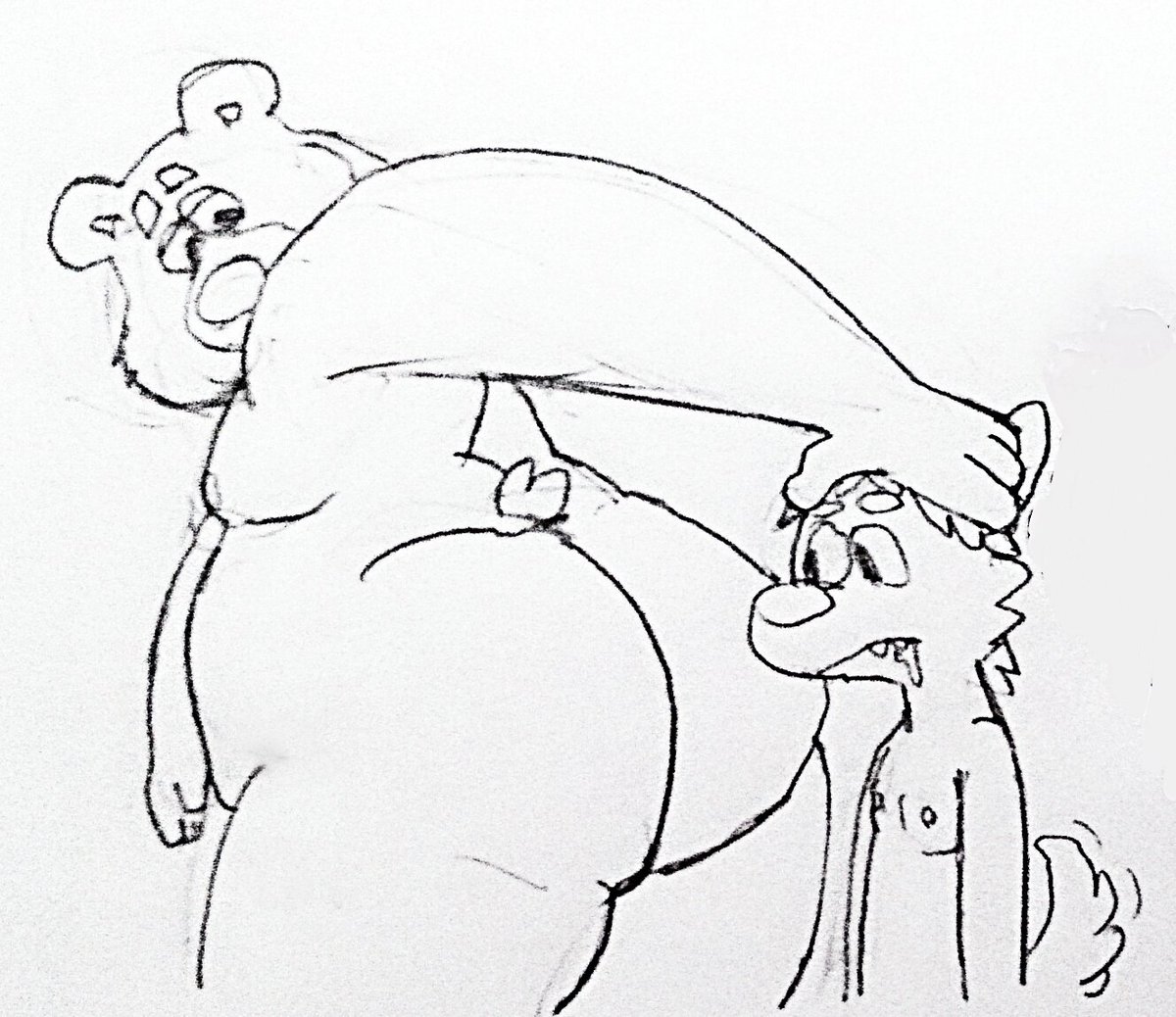 roundboys777's tweet photo. Bear shoves friend face in own ass,  more at 9 https://t.co/rScDteeBcl