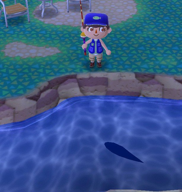 carriecrossing's tweet photo. When you see that big shadow #animalcrossing #pocketcamp #acpc https://t.co/AHwRvupesZ