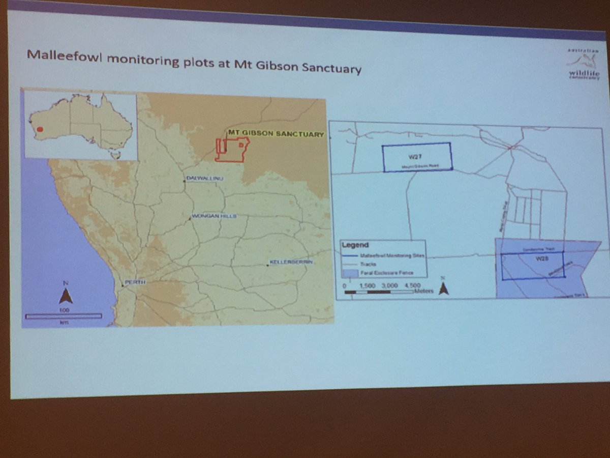 Private land managers play a vital role in the conservation of #malleefowl and @awconservancy has four sanctuaries with confirmed #malleefowl, one of which is in #WA - via Laurence Berry at #NationalMalleefowlForum