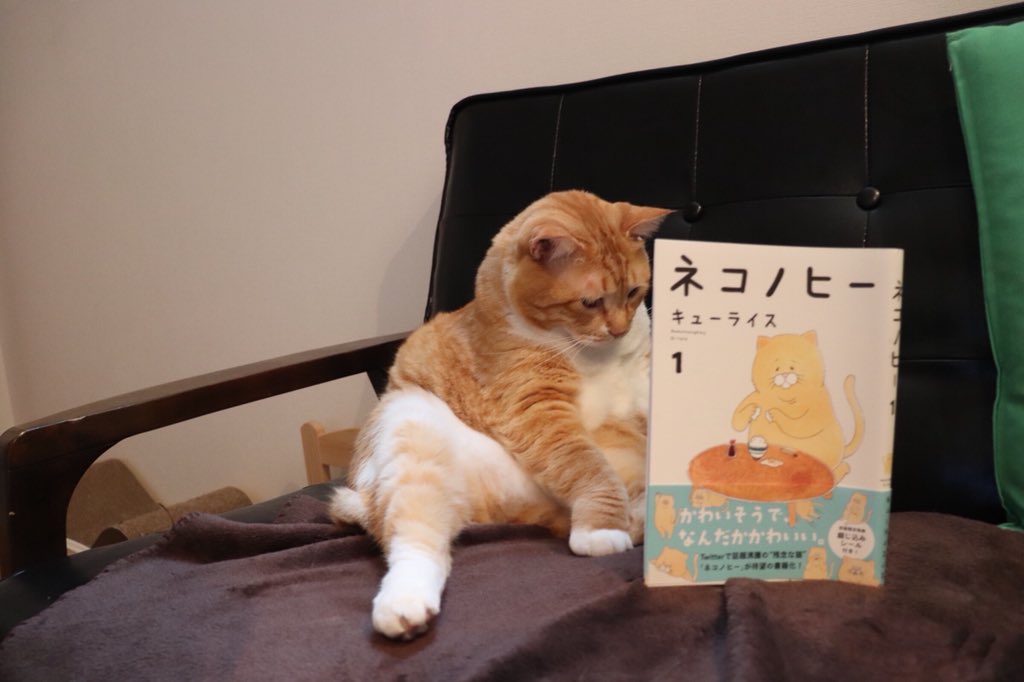 キューライス 似てる Twitter