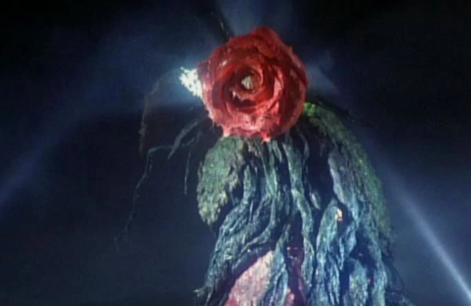 JamaalAbduRahim's tweet photo. @Hatercles @GodzillaGifs You're right, it does. For me, that was part of the intrigue. I was in my late 30's when I first saw #GodzillavsBiollante. The #CoverArt hinted at horror elements. And #Biollante IS scary. And it keeps morphing. Even the #RoseForm is creepy, the way it moves and wails. https://t.co/I3wksux6rg