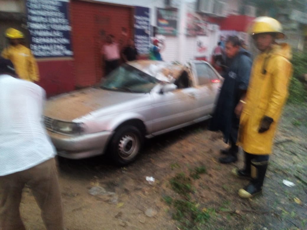 Personal de esta coordinación junto Bomberos de <a href="/ProcivilTabasco/">Protección Civil Tab</a> se encuentra atendido múltiples llamados de emergencia por caída de árboles, como éste que cayó sobre un vehículo en constitución en la col.centro
@casildaruiz8  @UlisesChavezV_ <a href="/antoniojmoscoso/">Antonio Moscoso</a>