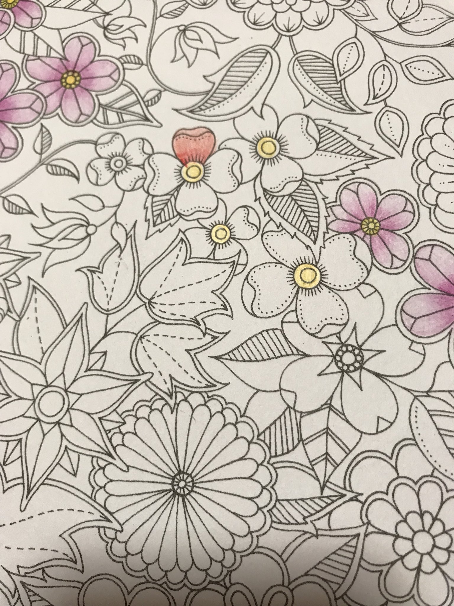 まなり なんかまた やりたくなってきたので試しに秘密の花園で あまり難しいのはできないので子どものような塗り方です 塗り絵 大人の塗り絵 ぬりえ 秘密の花園 T Co Six9oysyr1 Twitter まなり なんかまた やりたくなってきたので試しに秘密の花園で あまり難しいのはできないので子どものような塗り方です 塗り絵 大人の塗り絵 ぬりえ 秘密の花園 T Co Six9oysyr1 Twitter