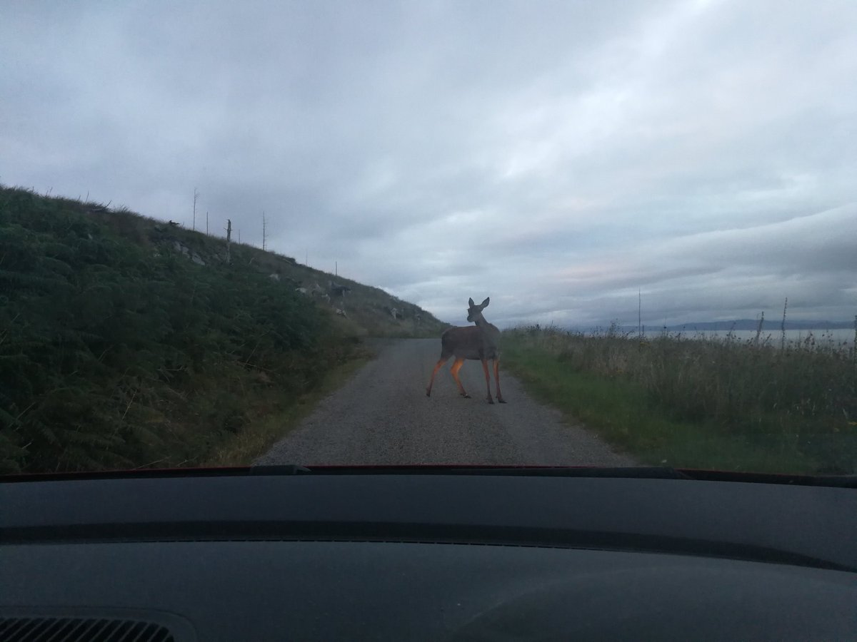 ZeroFilmsUK's tweet image. Shooting on Jura all finished with. It's not been easy as you'll find out in the next few weeks but we think we've got something good to show for it.