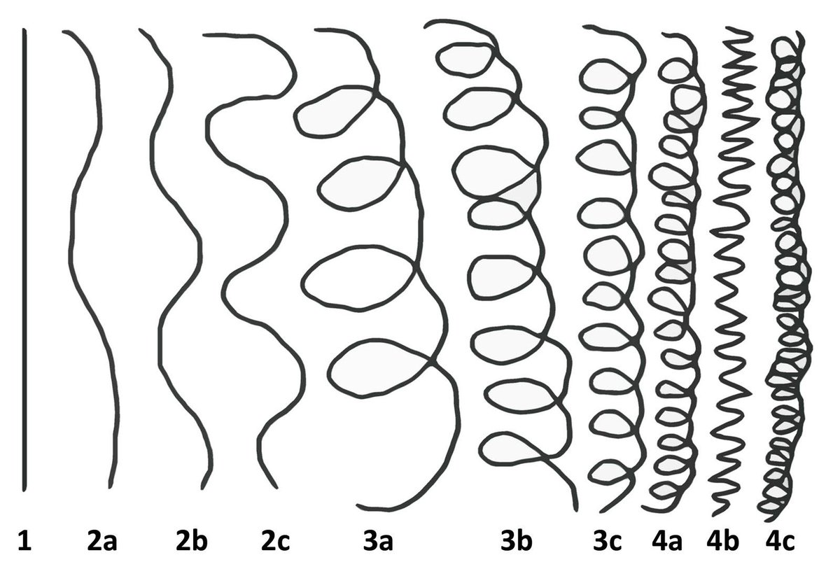 The most common convention for classifying hair types (in my experience) is the letter/number one. "black hair" generally rangers from 3A ("good hair") to 4c ("bad hair'). Traditionally, the kinkier/coilier hair was, the "worse" it was. Some older people still hold this standard.