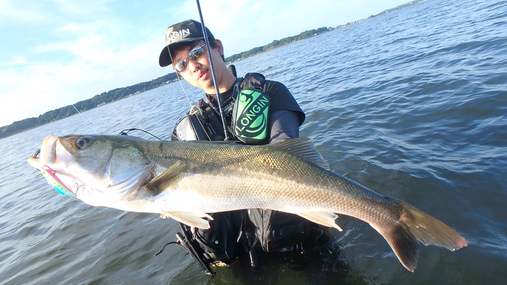 Taku_seabass24's tweet image. 昨日の涸沼デイゲーム。
イナッコの群れにシーバスが依存している感じ。

可愛いチビが多い中...
沖でかけた瞬間のエラ洗いが凄かった。。

77cmと良型のいい魚に出会えました✨👍

楽しい。

#遠征
#longin
#リアルキッス