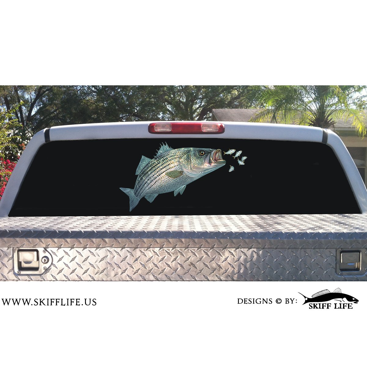 KittenswpDIGI's tweet photo. Striper Decal with Baitfish https://t.co/MNcJkfZ3vN #BoatDecals https://t.co/wi5zXCioa8