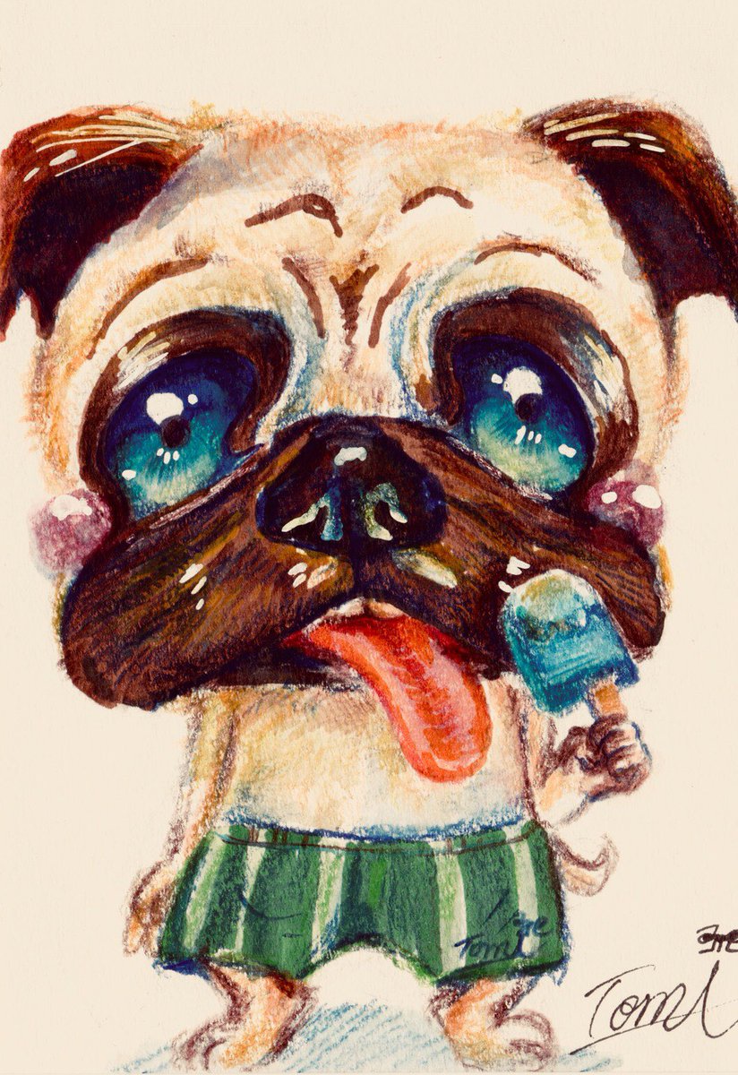 おはようございます 今年描いた犬のイラスト その2です プードルです トミー 4コマの人 のイラスト