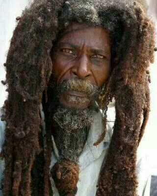 "Bongo dreads/rasta dreads" are distinct from "fashion dreads" in that they are not actively cultivated into small segments, but the hair is left to mat together however it wants with little/no direction. These are usually, but not always, religious. "One big dread" is common.