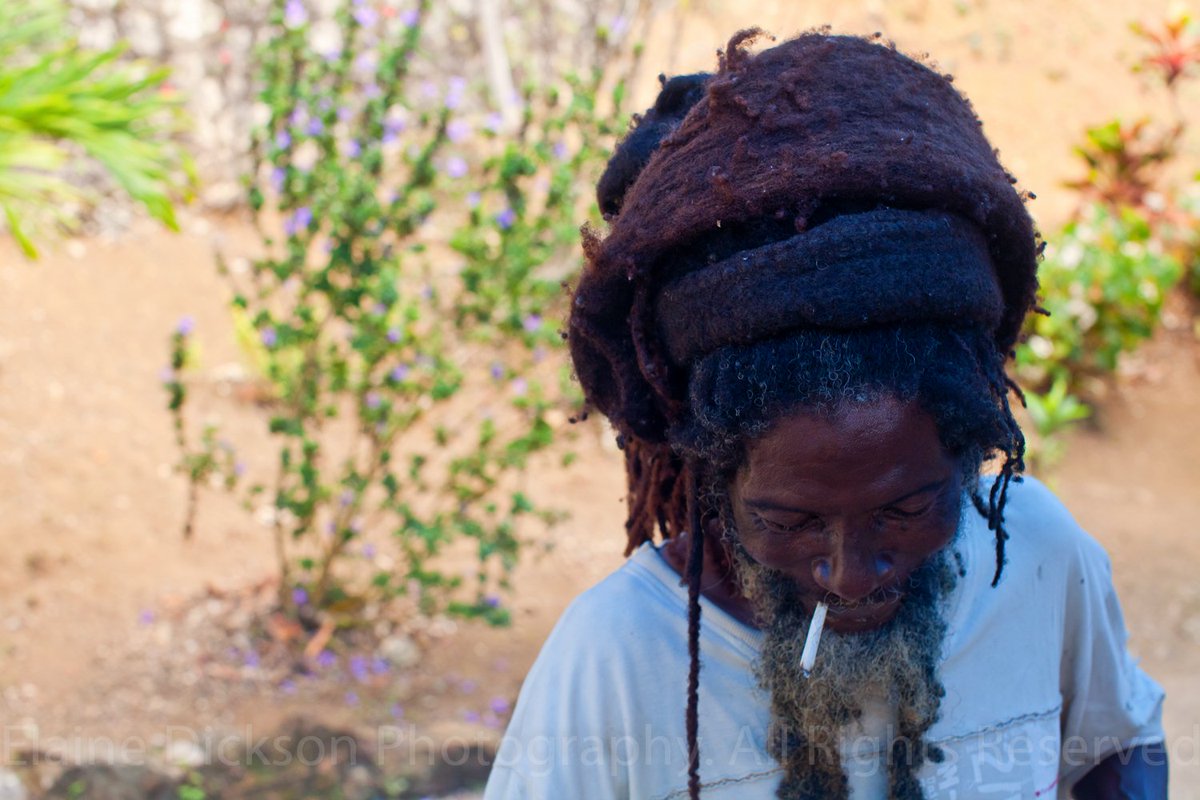 "Bongo dreads/rasta dreads" are distinct from "fashion dreads" in that they are not actively cultivated into small segments, but the hair is left to mat together however it wants with little/no direction. These are usually, but not always, religious. "One big dread" is common.