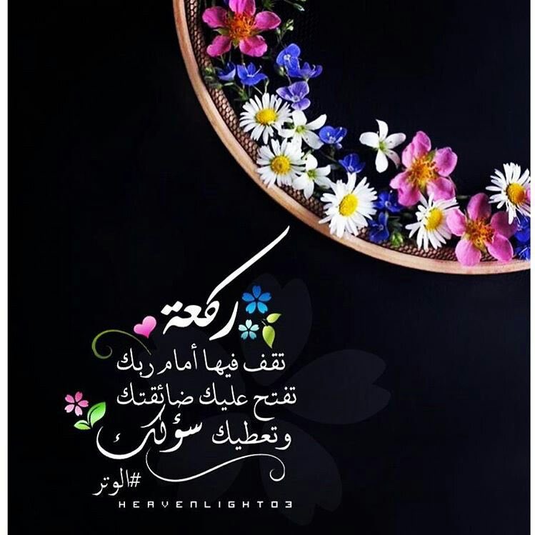 #صورة_جديدة_للملف_الشخصي