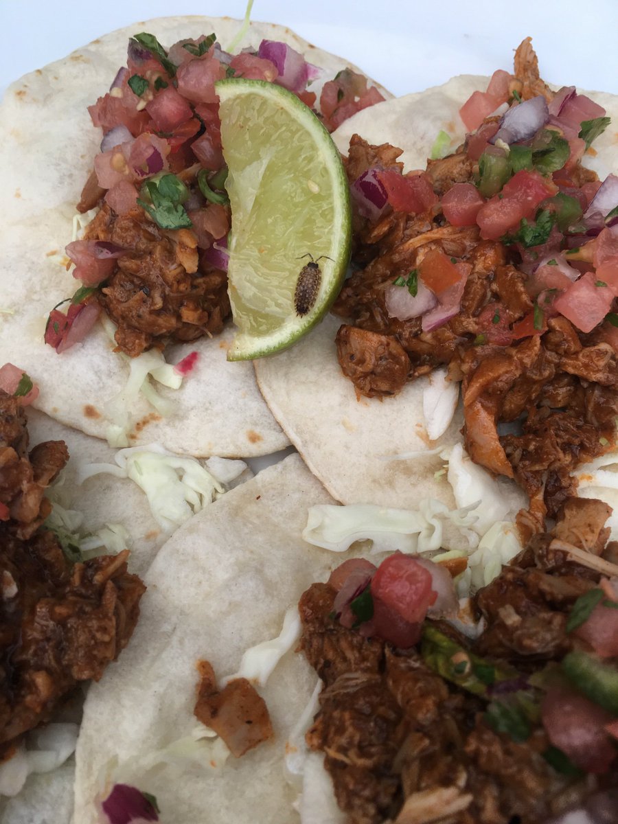 mamabearknows's tweet photo. Check out the extra protein in my tacos at Earls St Vital tonight! Still put it on my bill too! https://t.co/kPjNJGKGWQ