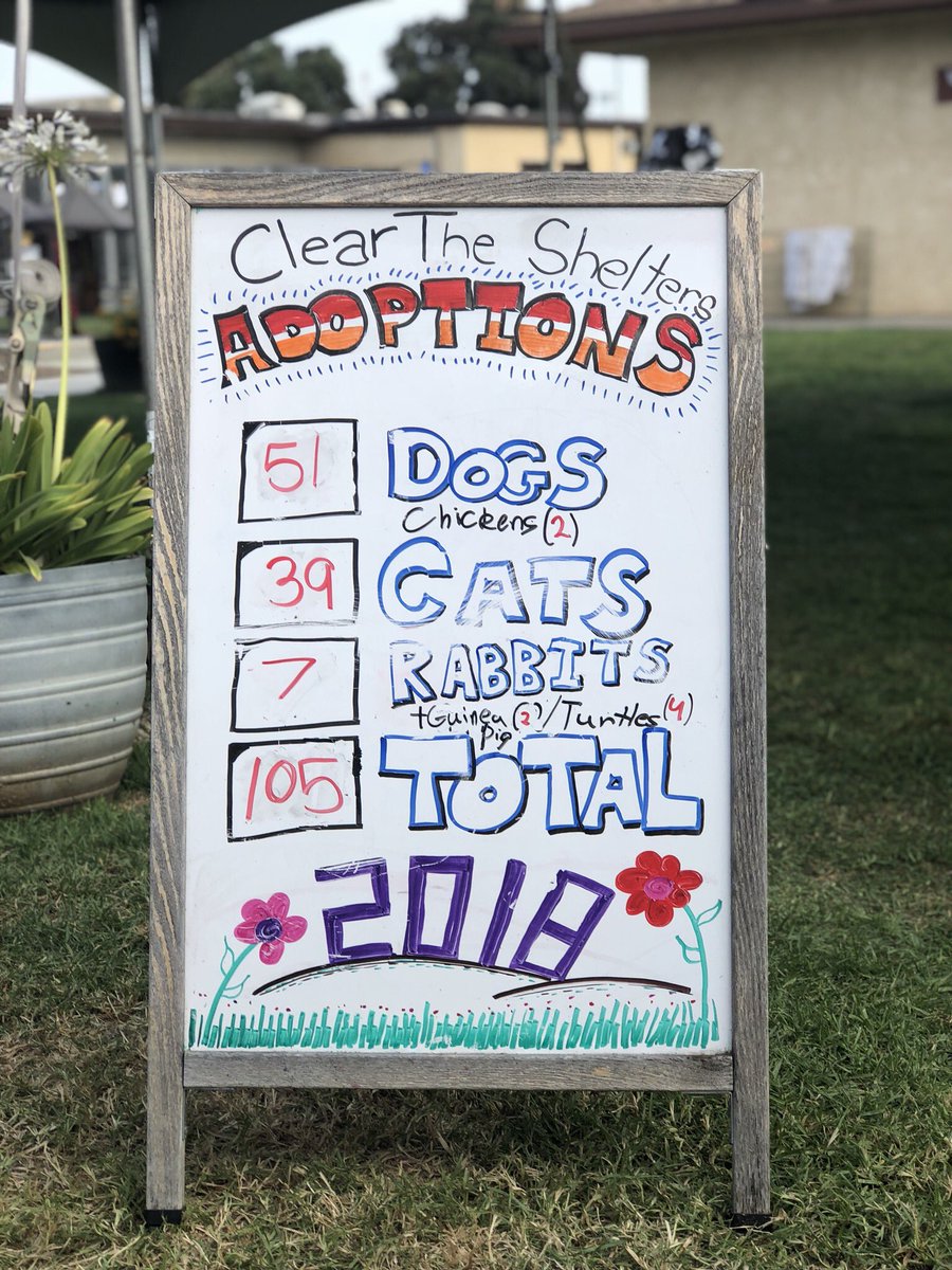 VCAnimalService's tweet photo. FINAL: 105 dogs ๐ถ cats ๐ฑ rabbits ๐ฐ chickens ๐ guinea pigs ๐ and turtles ๐ข found their #Furever homes today at #ClearTheShelters 2018! Special thank you to @NBCLA and @TELEMUNDO52 for organizing this extremely successful event! #lovetoadopt โค๏ธ https://t.co/fRdufNfHhE