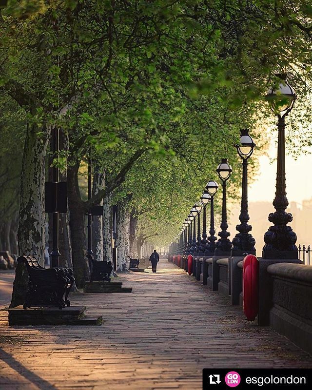 bctravelwriters's tweet photo. Guest 📸: @ottoberkeley ・・・
Because who can resist a glorious walk down the Embankment? .
.
.
.
#travelerinlondon #prettycitylondon #londoncityworld #theprettycities #prettylittletrips #thisislondon #bcatw #travelphotographer #travelwriters https://t.co/NfMnGLnw7u https://t.co/0bHw32H4BD