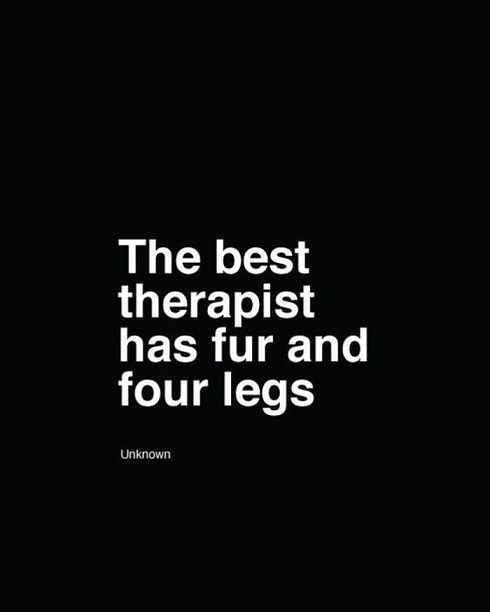 #quotesandsayings #quotesaboutlife #quotestoread #quotesandinspiration #quotes #quotesforahappylife #quotestoshare #folsomlake #sacramentoca #eldoradohills #roseville #pets #dogs #doggy #dogstagram #doglovers