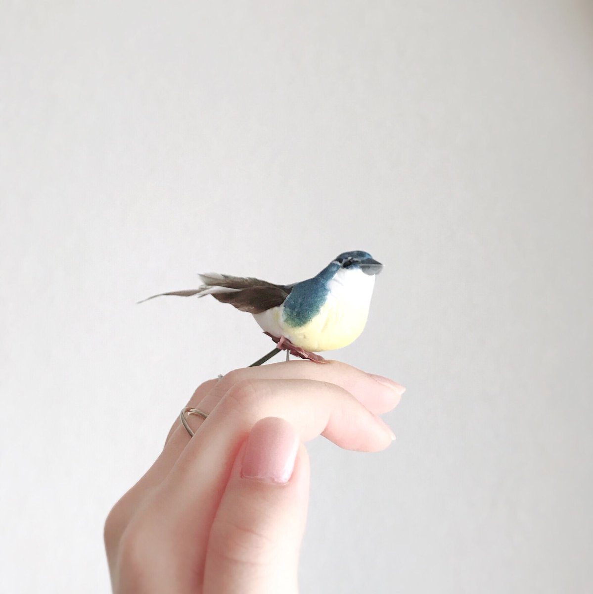 ゆに 低浮上気味 春の演出用の小鳥を貰って 思いがけず 歌いながら指先を差し出せば小鳥が留まるディズニープリンセス じゃね と大喜びして職場の人に見せたら8人中8人にドン引きされたの納得出来ない 可愛くないですかこれ