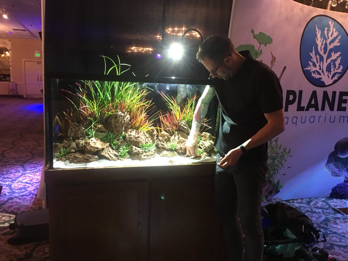 660+ Aquarium Design Group.com Gratis Terbaik