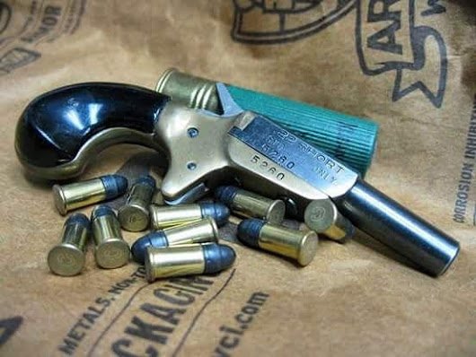 Such a cute little thing, .22 short is a nice round for that up close stuff, it's why I carry a NAA on my belt.