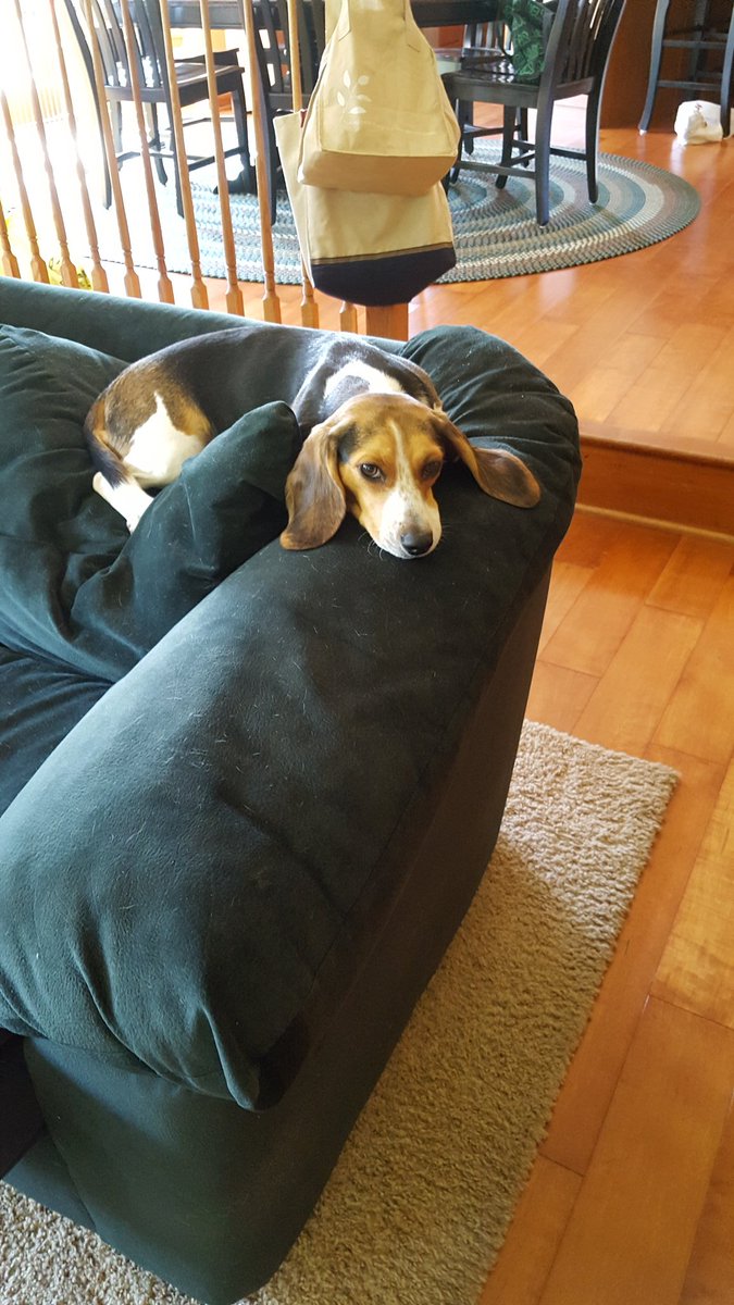 Jackie Pizanie Barth On Twitter Mazel Tov Luka Is Adorbs