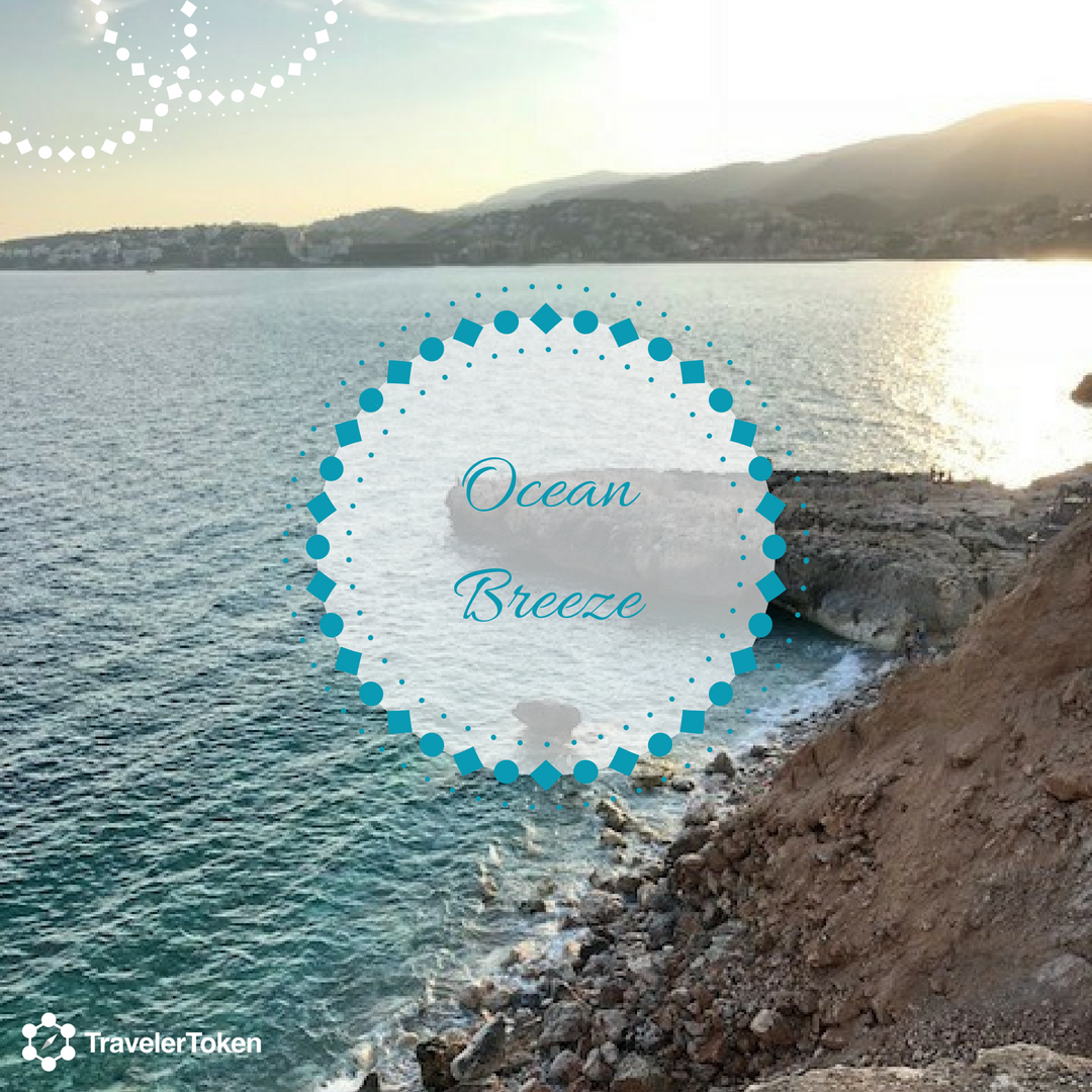 TravelerToken's tweet photo. Make memories all over the world.  🌎 What are your weekend plans?
#holiday #summer #vacation #goals #beach #travel #travelgram #tlt #travelertoken #spendlesstravelmore #goodlife #crypto #cryptocurrency #blockchain #blockchaintechnology https://t.co/oExWalk6Fs