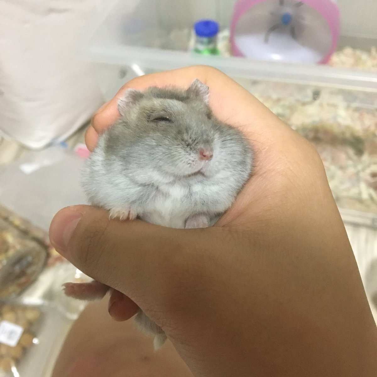 폰을 바꿨는데 계정 비밀번호가 기억나지 않아 새로 계정을 만들었습니다 전 여전히 애기의 근황을 많은 분들께 알리고 싶어요 ☺️