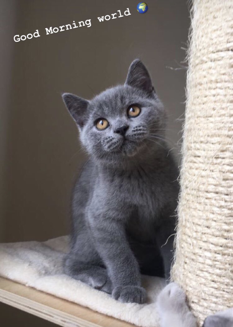 Good Morning world 🌍