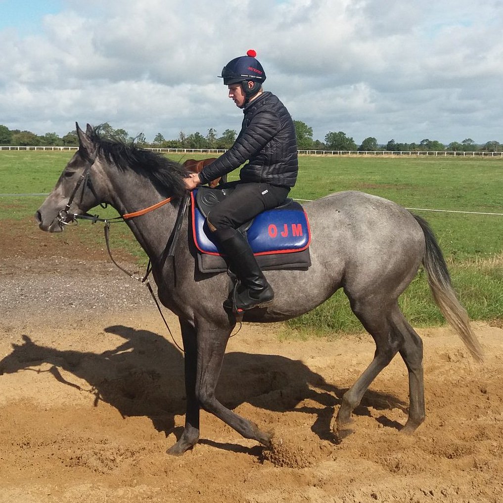 PTRacingLtd's tweet photo. 1/12 shares available in ROCK ON TOMMY, a 3yo gelding by FAIR MIX out of a 5-time winning mare, LITTLE CARMELA in training with @O_J_murphy91
He will be aimed at Junior Bumpers with the Listed Bumper @CheltenhamRaces on NYD the aim!
#PremierExperiences
#DreamIsStillAlive https://t.co/MJUgoMDFXP