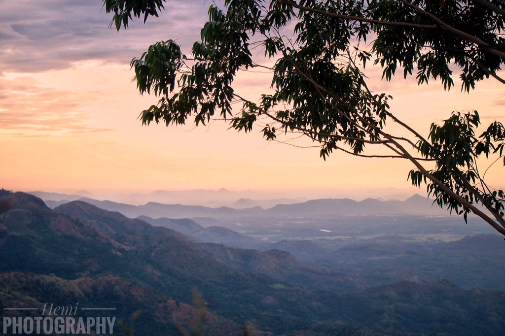 hemaka21's tweet image. Early 4.30 start to the journey to climb the hill to see the sunrise over the hills. Clouds yet again stopped use seen the sunrise. Still manage to see a great view. See Facebook page for more photos
#sunrise #ella #ellarock #hillsindistance #srilanka #srilankan #visitsrilanka