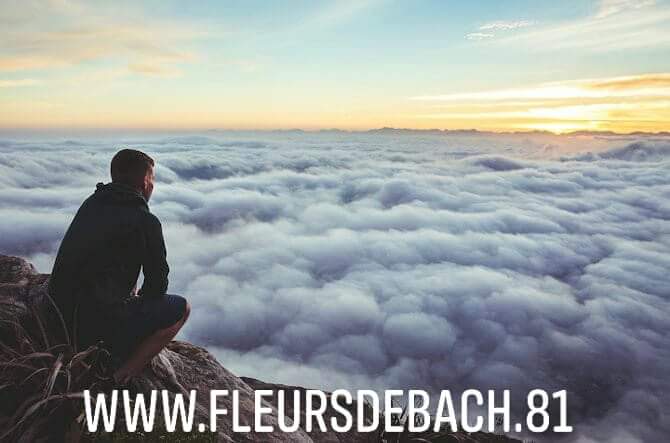 fleursdebach81's tweet photo. Avec des fleurs, tout est plus simple 😀 #fleursdebach #fleursdebachoriginal #formation #formations #bachremedies #bachremedies #bachrescueremedy #bachrescue #bachrescuecream #edwardbach #edwardbachflowers #edwardbachessence #theatre #patrickdonnadille https://t.co/R4qWMUF1d2