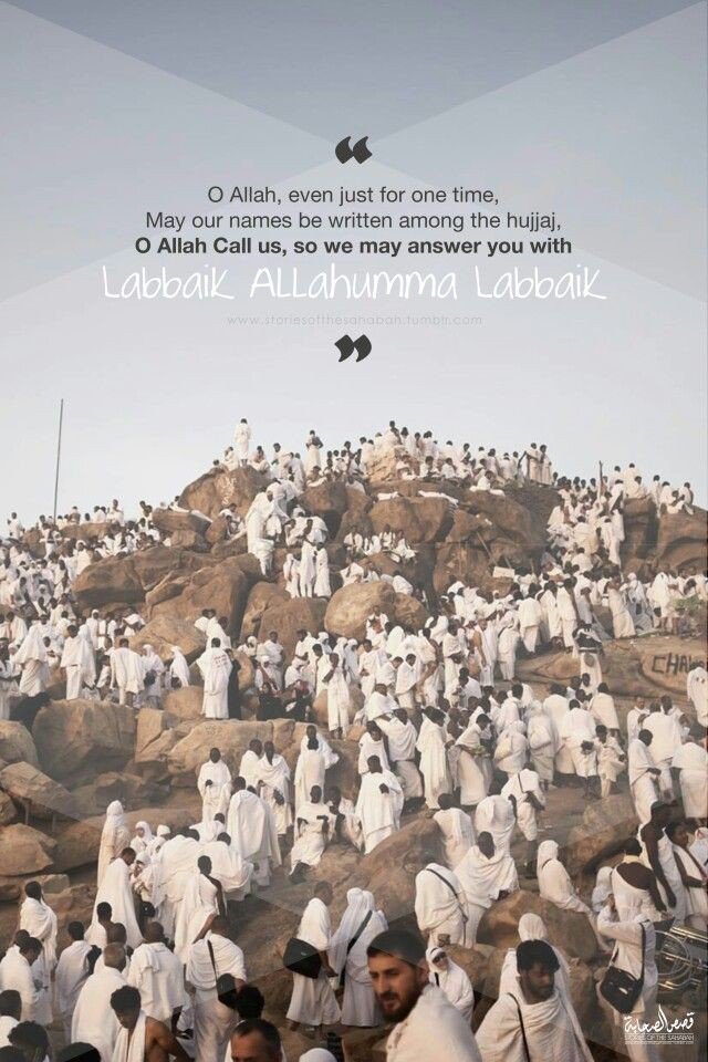 #Muslim tweet media
