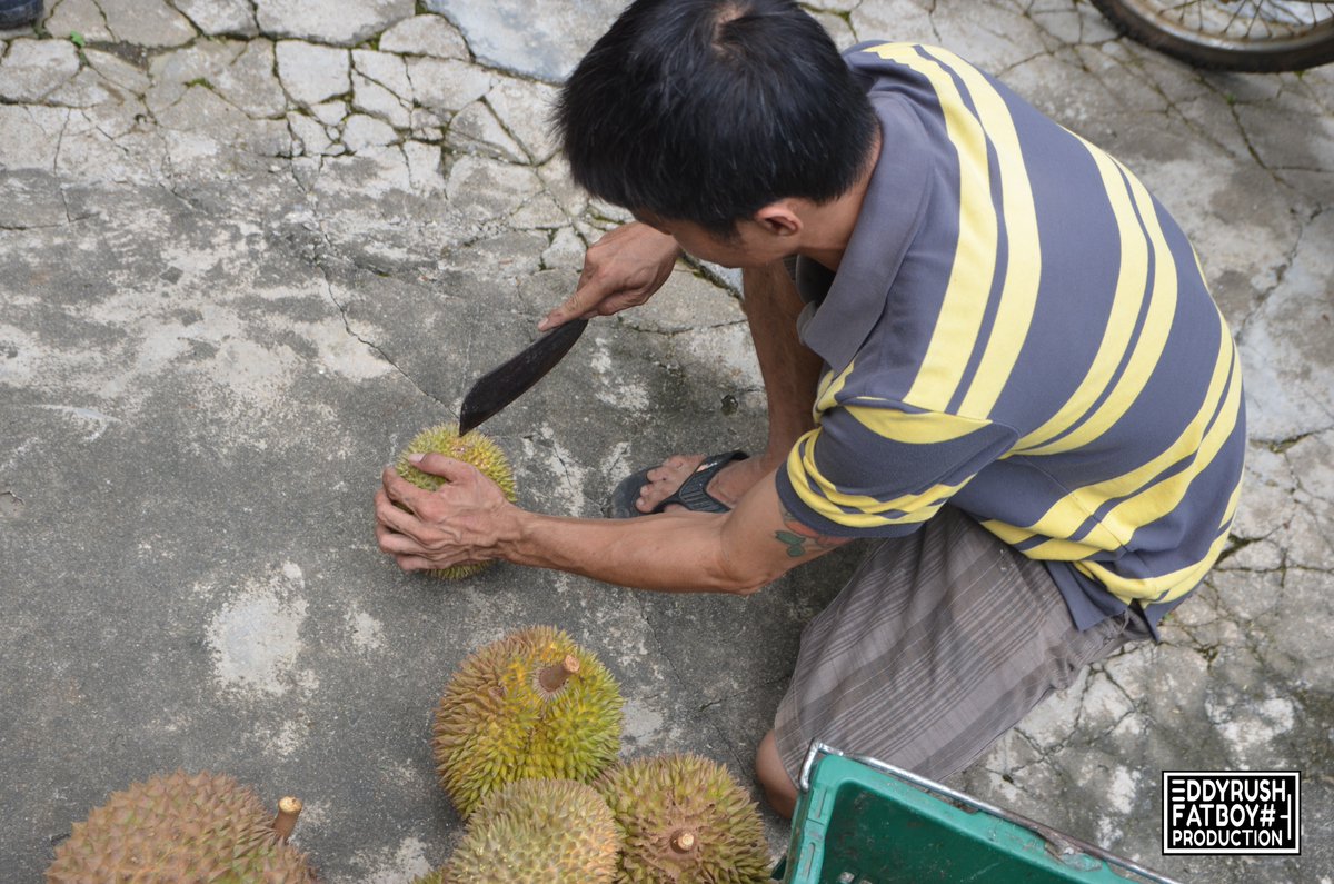 EddyRush's tweet photo. The oldest Durian tree in Perlis that age more than 130 years
| ----- |

#TravelogueMalaysia #TraveloguePerlis #Perlis #120yearsold #durian #PNW #UPEN #SUKPerlis #ThisIsPerlis  #travel #tourist #malaysia #traveltomalaysia https://t.co/ZVwiZJeLih