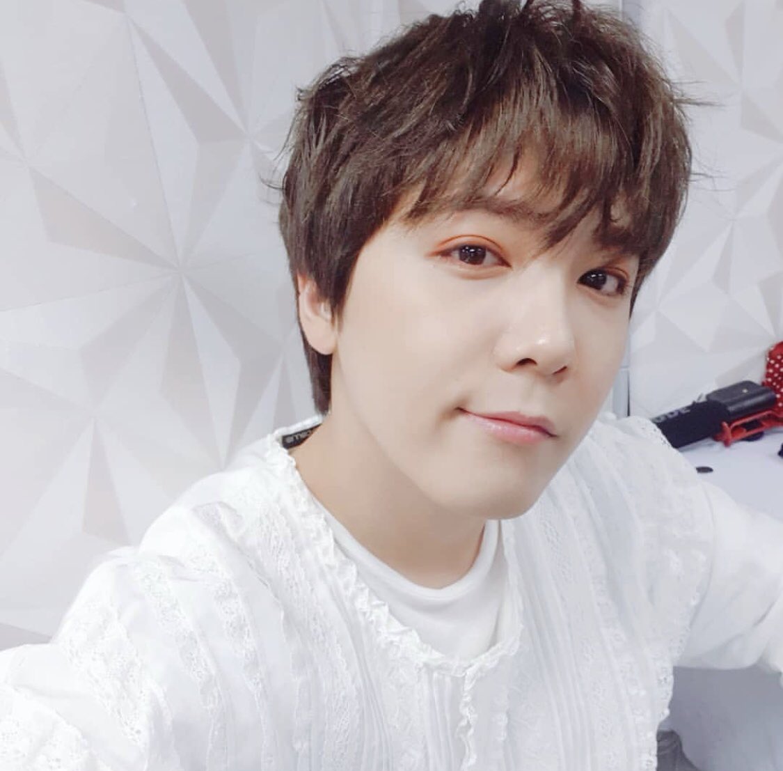 Фото хонки. Фото хонки. Ки хонг ли. Фото хонки. Фото хонки.