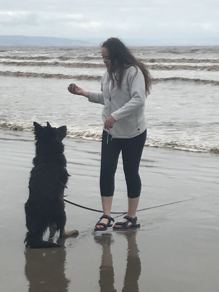 CoreCanineUK's tweet image. First time training at the beach with this eager to learn pooch - a good work out for all! Now time to chill, dry off and watch the waves with her buddy 🐾
