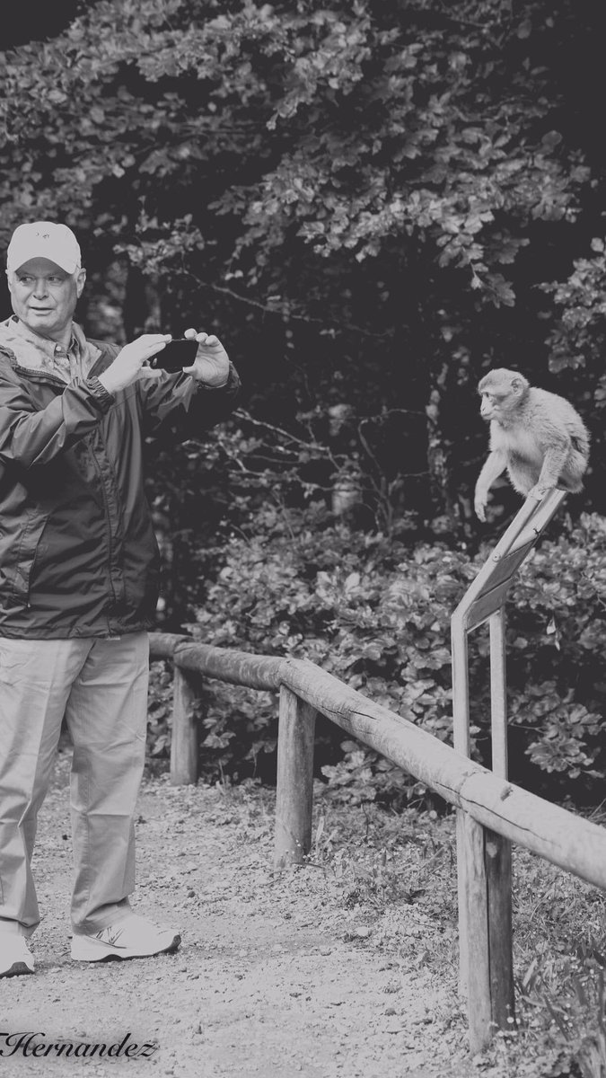 t_hernandez_art's tweet image. International photography day.. What inspires you? #photooftheday #photography #monkeymountain #travelphoto