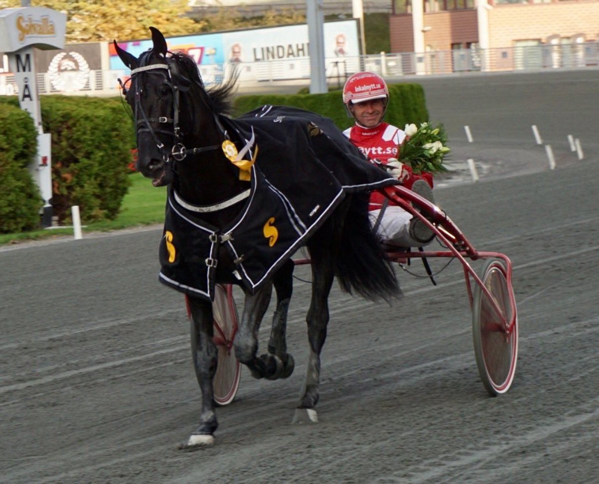 moncorge_c's tweet photo. #Trot 🇸🇪 Mercredi à @Jagersro, réunion UNIQUEMENT réservée aux qualifs (6 & 6) des Derbys mâles et femelles programmés le 2 septembre prochain. #VampKronos #Dibaba #MellbyFree #Villiam #CoinPerdu #Alcoy #ILoveSweden https://t.co/rN6IebOny0