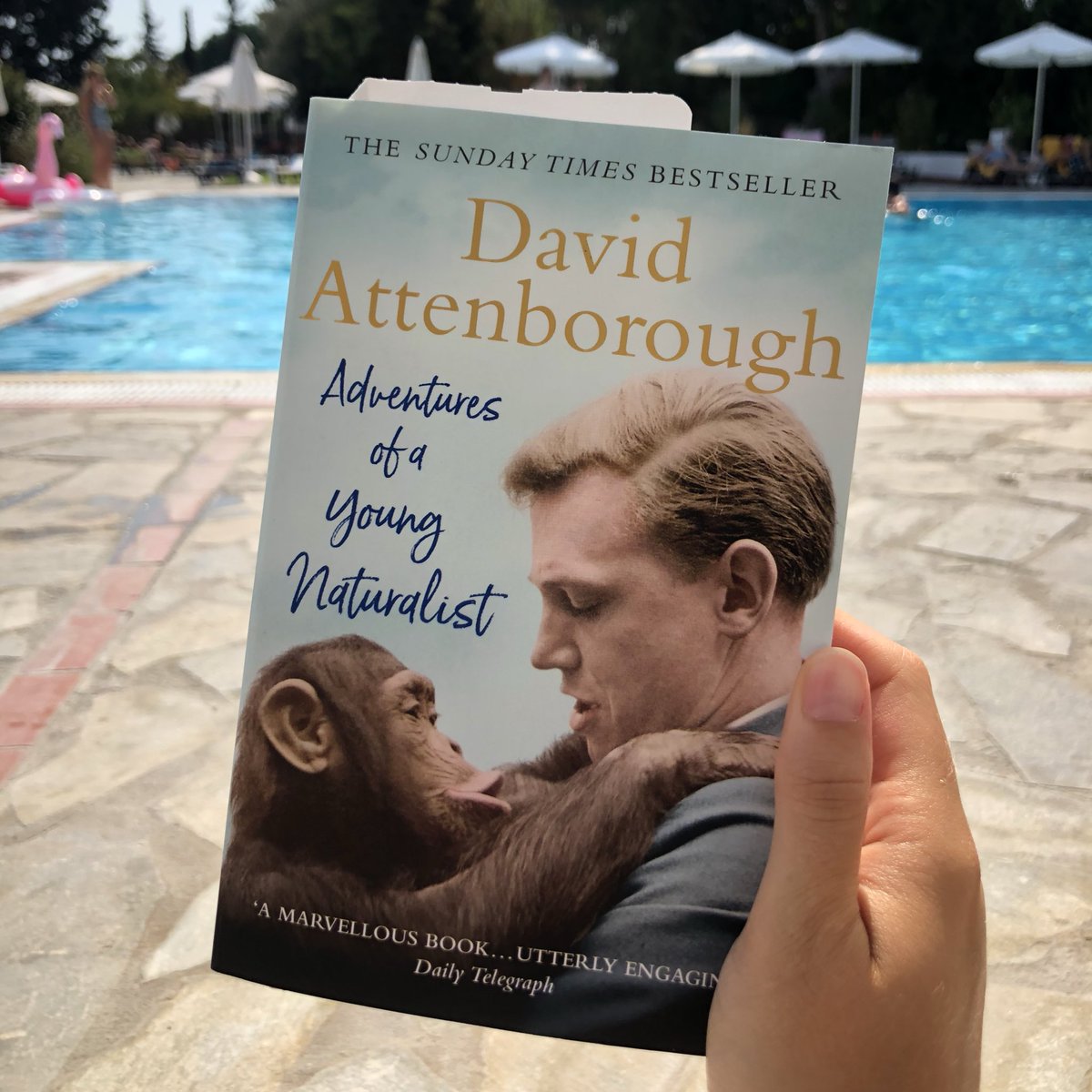 MissASearle's tweet photo. Onto book 5 of #SixBooksInSixWeeks. You can hear his voice as you read the pages so it literally sounds like he’s reading the book to you 👴🏻🌍♥️ #DavidAttenborough https://t.co/zbmHZ5xTtn
