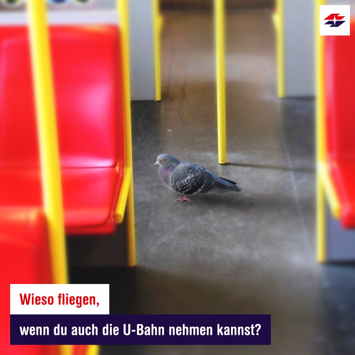 wienerlinien's tweet photo. Ob die einen gültigen Fahrschein hatte...? https://t.co/dwbqlitDWj